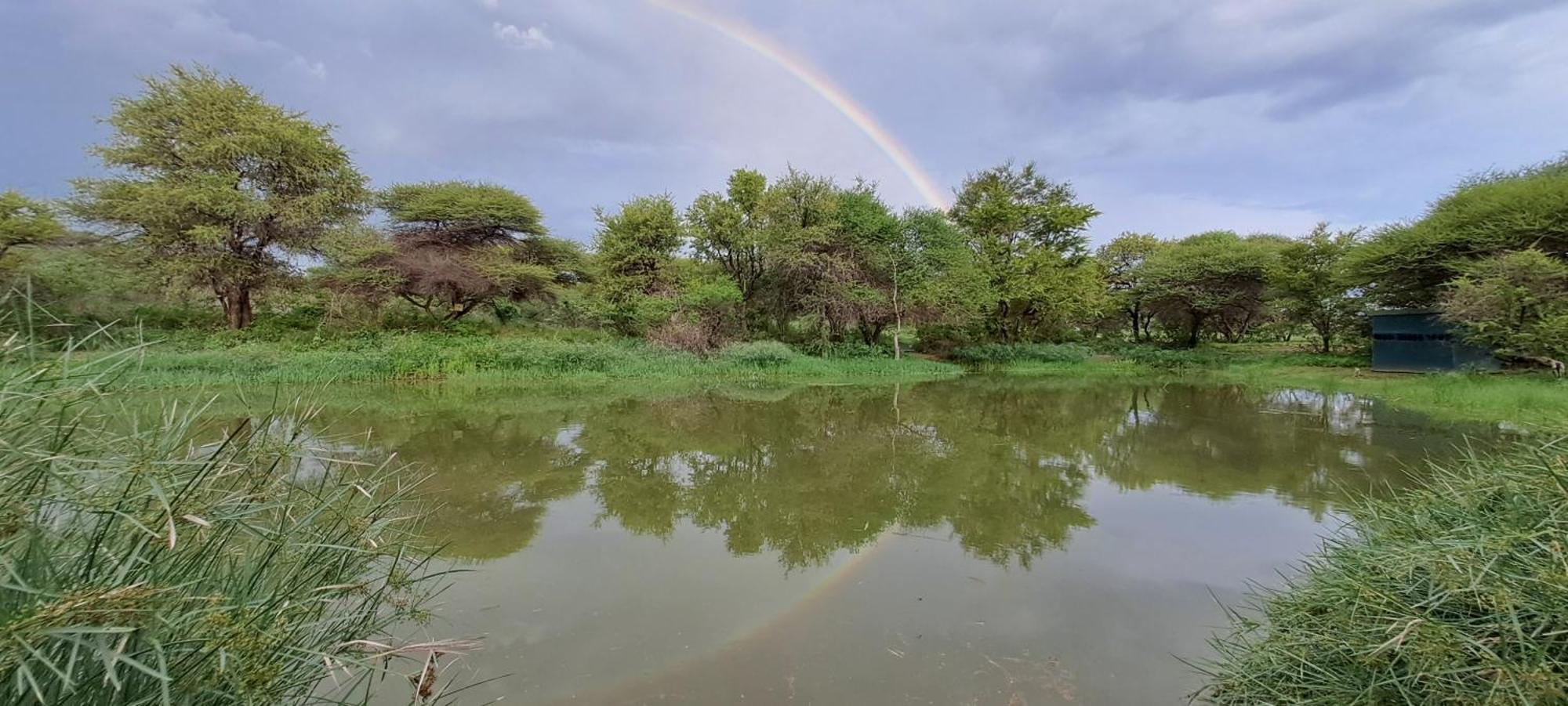 Woodlands Stop Over And Lodge Francistown Kültér fotó