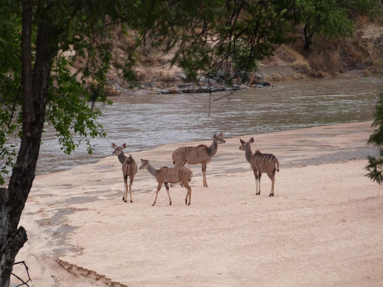 Woodlands Stop Over And Lodge Francistown Kültér fotó